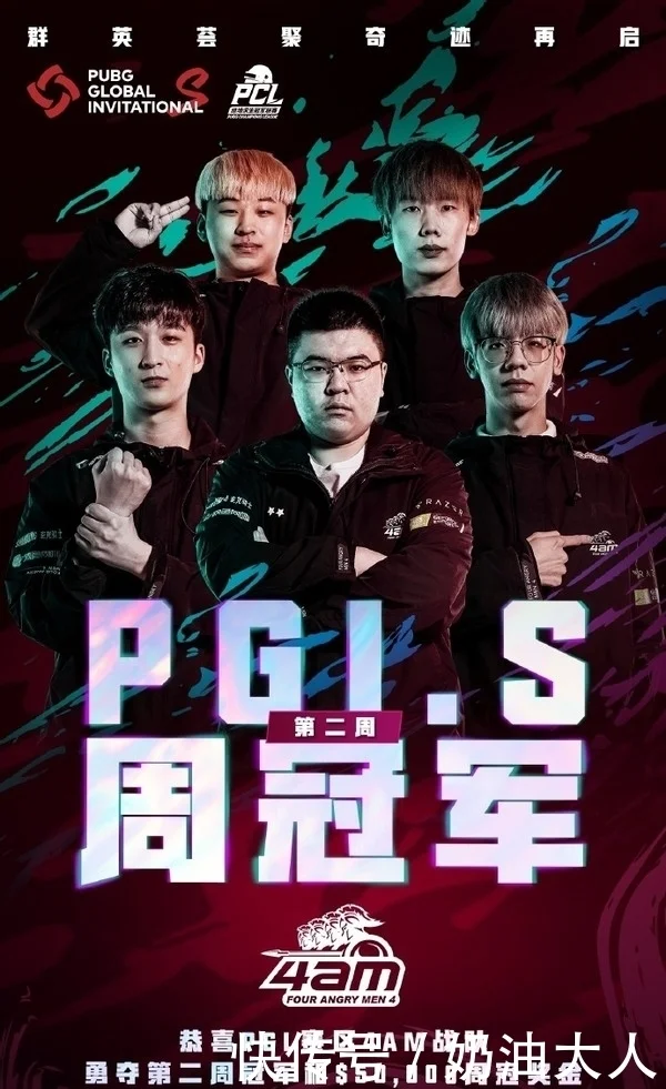 ng导航品牌视觉展示2，安全可靠首选